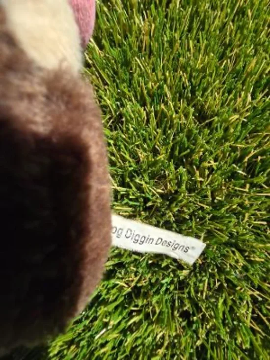 dog digging designs dog toys - Picture 5 of 5